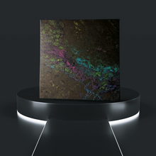 Load image into Gallery viewer, Gosu - 14 x 14 in