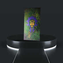 Load image into Gallery viewer, HordAlliance - 20 x 10 in