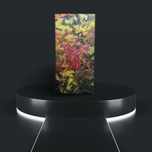 Load image into Gallery viewer, Terran CMC-660 - 20 x 10 in